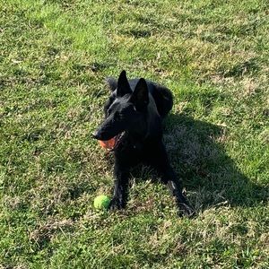 Meet your Posher, Ben